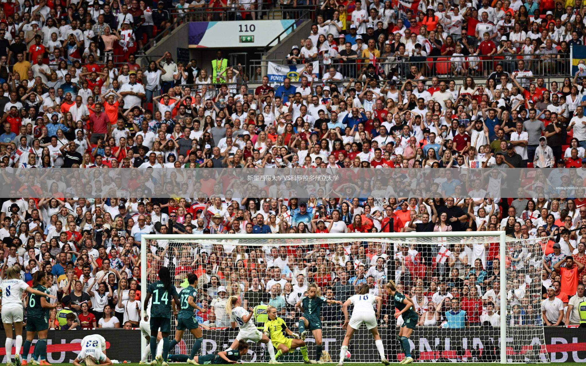 新墨西哥大学VS科罗拉多州立大学