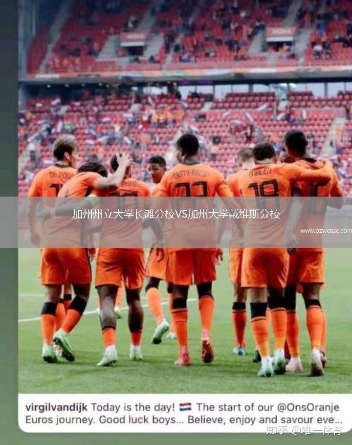 加州州立大学长滩分校VS加州大学戴维斯分校